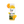 Load image into Gallery viewer, Mango-Orange-250ml
